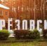 Берёзовский в числе лидеров среди городов Южного округа по исполнению Регионального стандарта региона - Березовский городской округ
