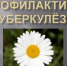 Как проводится профилактика туберкулеза в детских организованных коллективах - Березовский городской округ