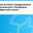 Как активно свердловчане используют Платформу обратной связи - Березовский городской округ